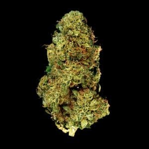 Primo piano di infiorescenza Cream Mandarine CBD Crystalweed, compatta e resinosa, su sfondo nero.