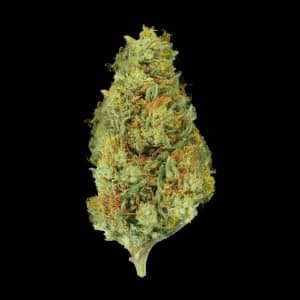 Primo piano di infiorescenza CBG kush Crystalweed, compatta e resinosa, su sfondo nero.