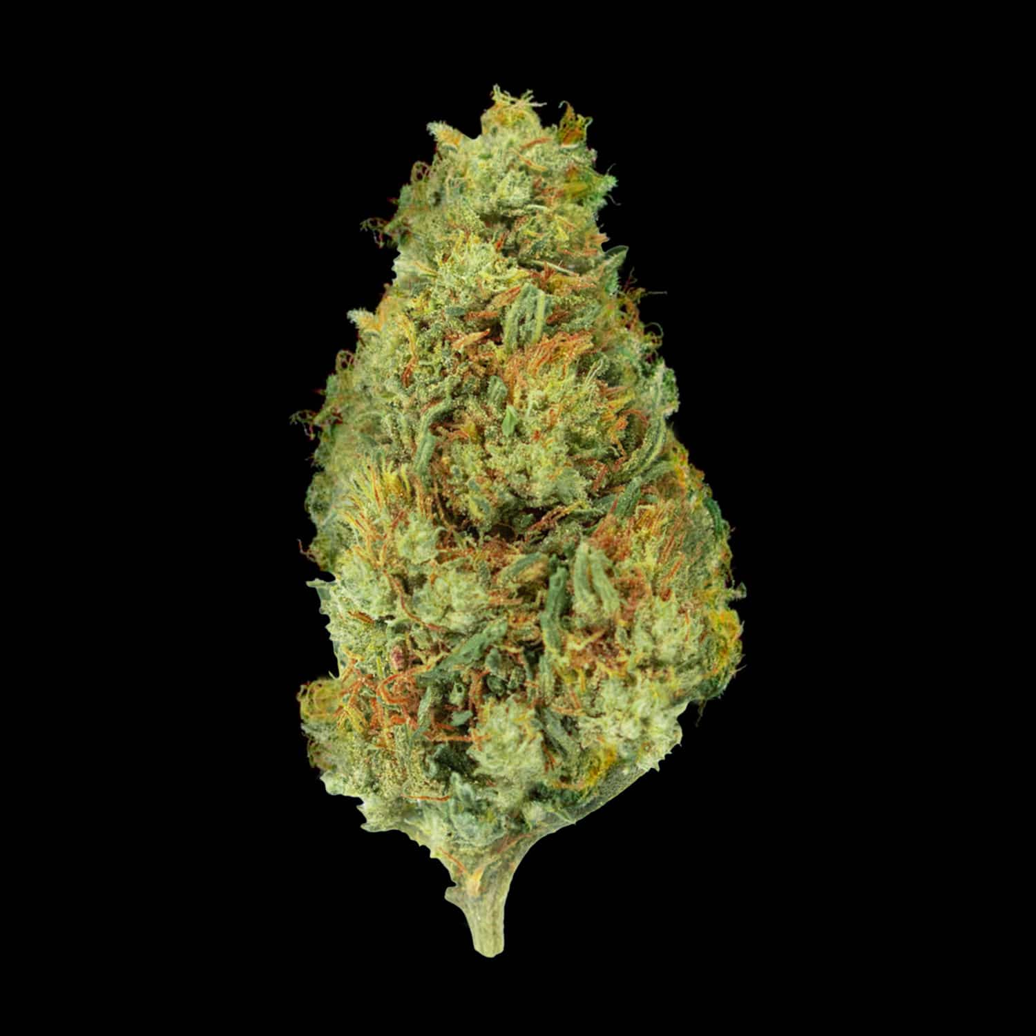 Primo piano di infiorescenza CBG kush Crystalweed, compatta e resinosa, su sfondo nero.