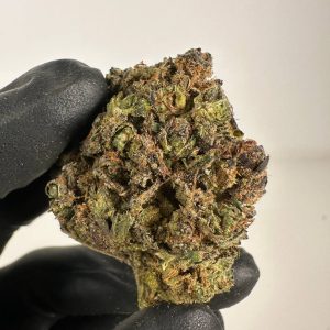 Gelato CBD Video