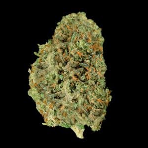 Primo piano di infiorescenza Gelato CBD Crystalweed, compatta e resinosa, su sfondo nero.