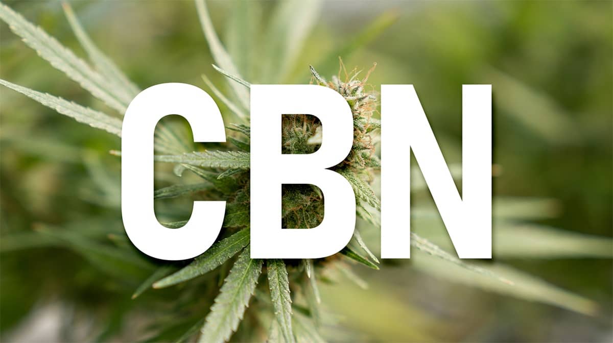 CBN cannabinolo