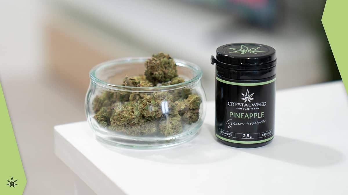 Marijuana Legale Italia