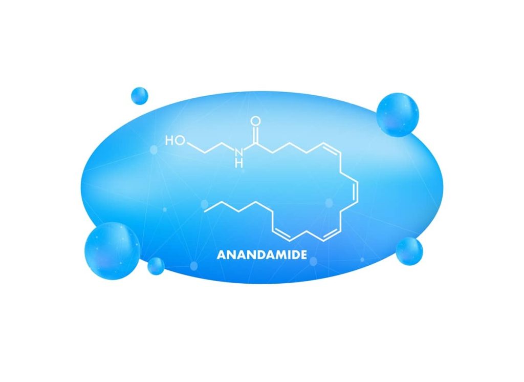 anandamide