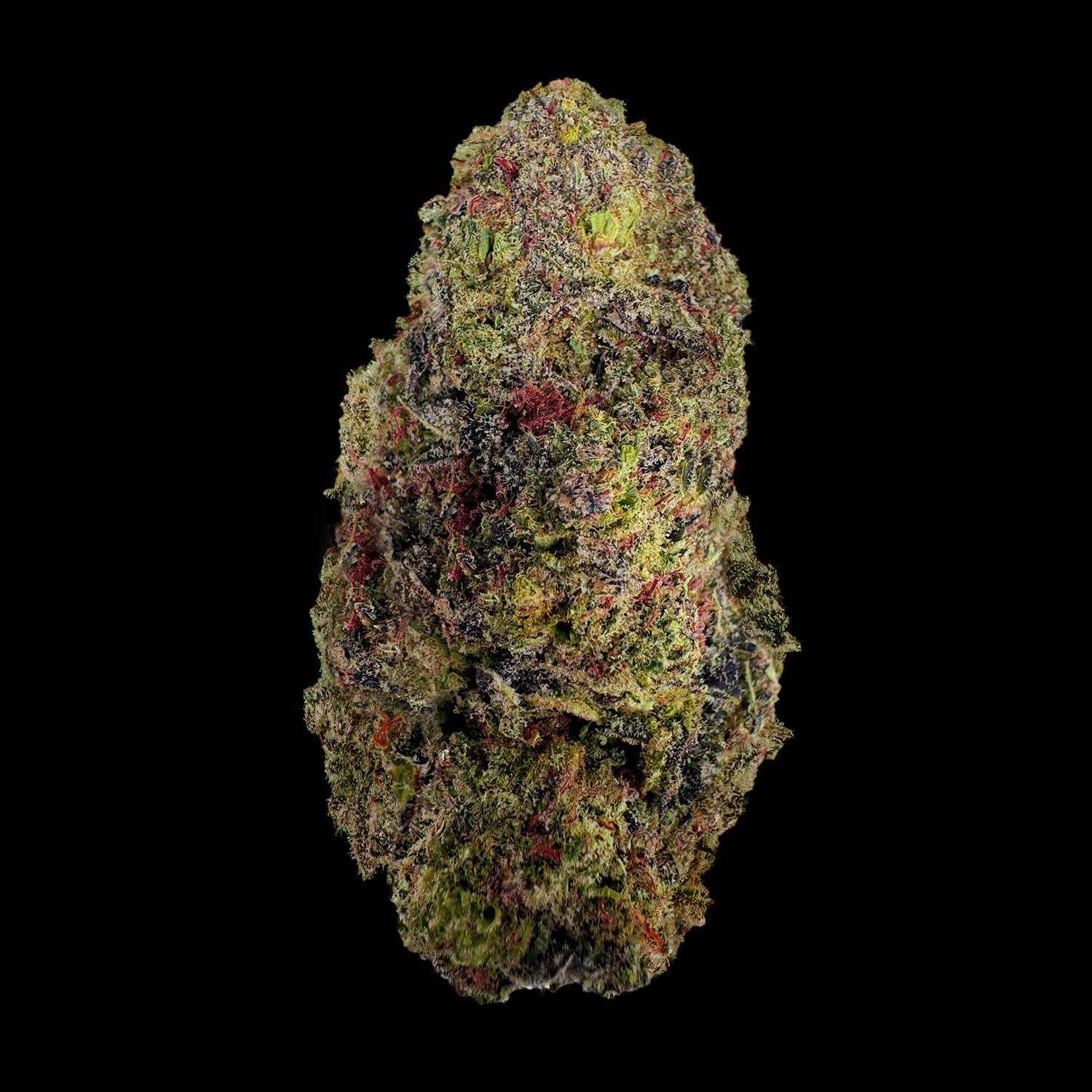 Primo piano di infiorescenza Mac CBD Crystalweed, compatta e resinosa, su sfondo nero.