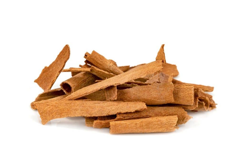 cannella per cane che zoppica