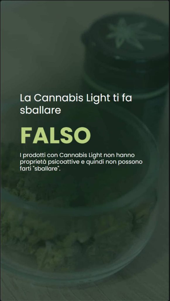 Falsi miti sulla cannabis light 1 Infografica che risponde alla domanda: la cannabis light ti fa sballare? Spiega che i prodotti a base di Cannabis Light non hanno proprietà psicoattive e quindi non provocano effetti di alterazione.