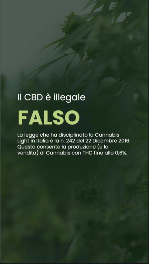 Falsi miti sulla cannabis light 2 Infografica che risponde alla domanda: il CBD è illegale? Viene citata la legge italiana n. 242 del 22 dicembre 2016, specificando che la Cannabis Light con THC fino allo 0,6% è legale per la produzione e la vendita in Italia.