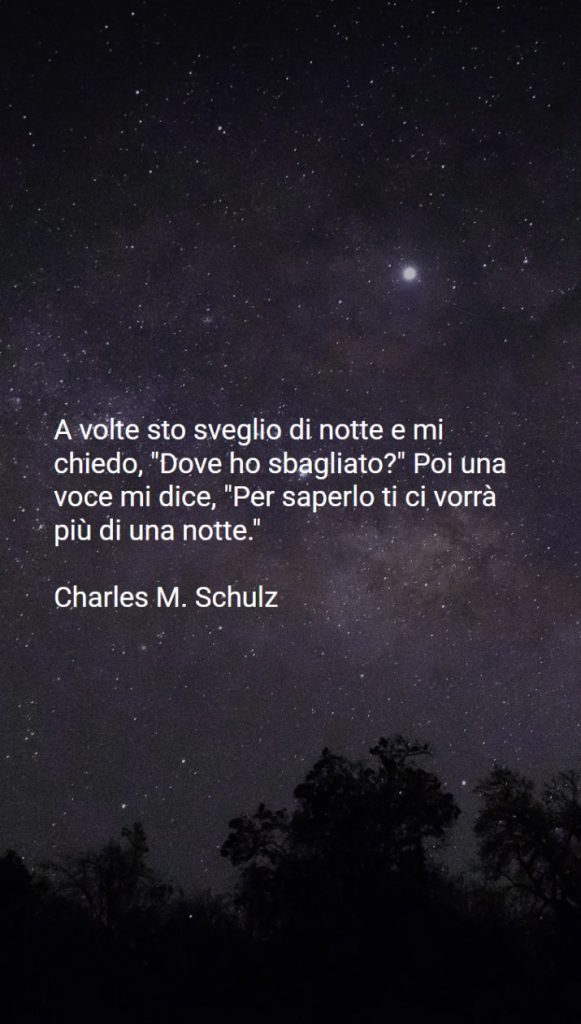 Frasi e citazioni sullInsonnia 4