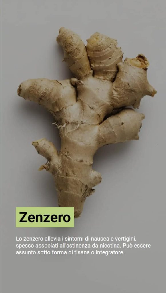 Foto di una pianta di zenzero. Il testo spiega che lo zenzero riduce i sintomi di astinenza da nicotina, come nausea e vertigini.