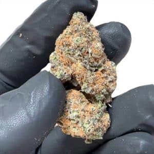 Mostrazione infiorescenze cbd Gorilla Glue 3 dimensioni