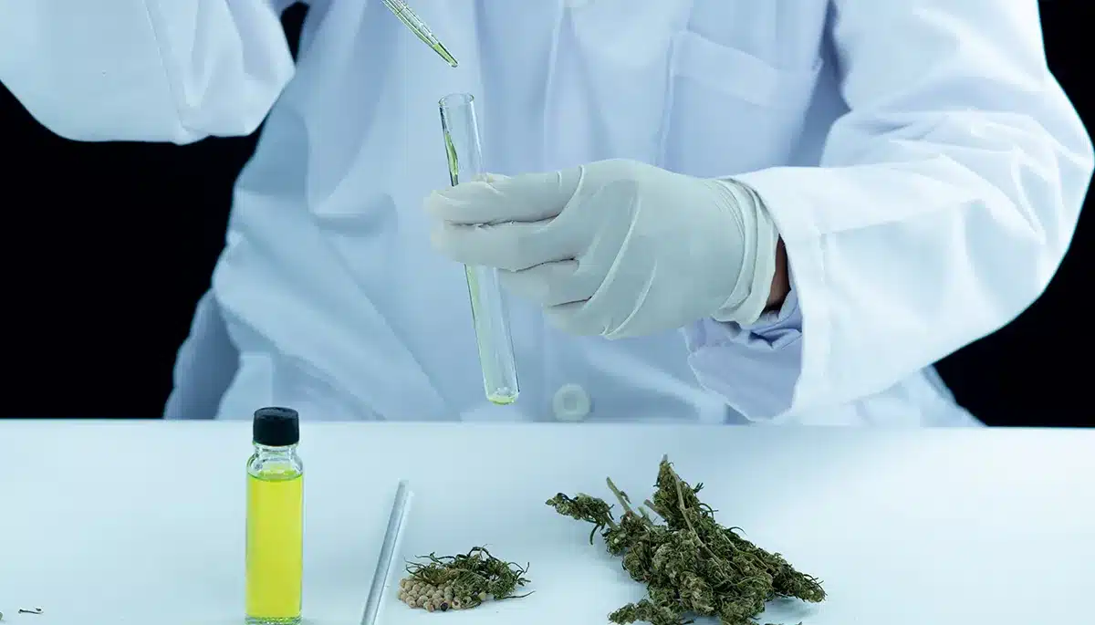 Il cbd risulta nei test antidroga