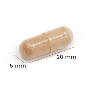 Capsula funghi medicinali Veeta dimensioni