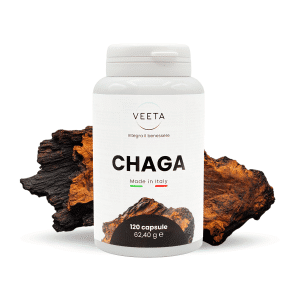 Chaga fungo medicinale 120 capsule