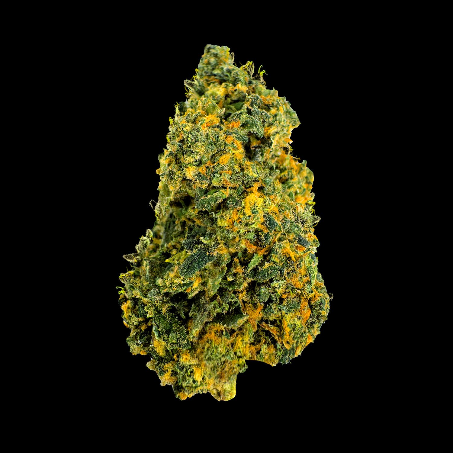 Primo piano di infiorescenza Cali Mandarine CBD Crystalweed, ricca di tricomi e pistilli, fotografata da vicino.