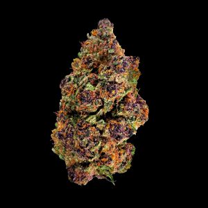 Primo piano di infiorescenza Royal Berry CBD Crystalweed, ricca di tricomi e pistilli violacei, fotografata da vicino.